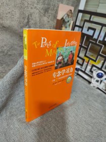 专念学习力：打破7个扼杀创造力的学习神话