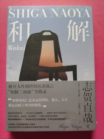 和解 外国现当代文学