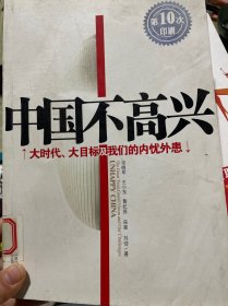 中国不高兴：大时代大目标及我们的内忧外患