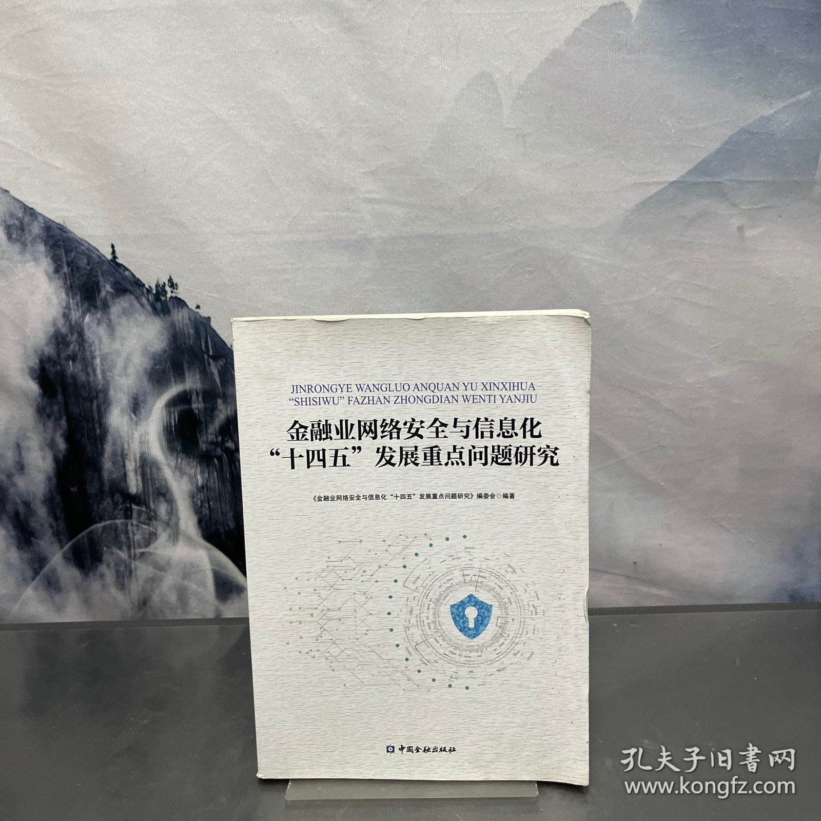 金融业网络安全与信息化“十四五”发展重点问题研究