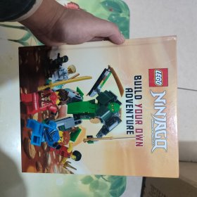 LEGO NINJAGQ