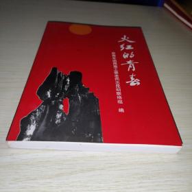火红的青春