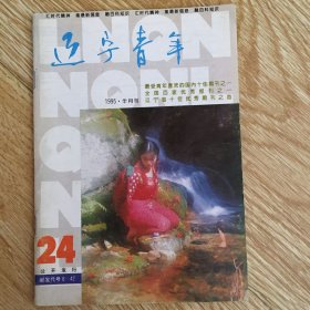 辽宁青年1995年24期