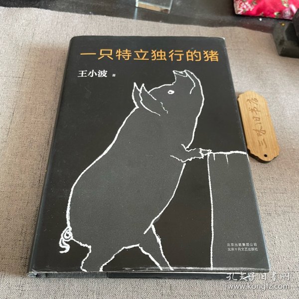 一只特立独行的猪