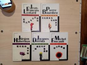 当代思想家访谈录 ： 文化资本与社会炼金术 、权利的眼睛 、现代性的地平线 、一种疯狂守护着思想 、后现代性与公正游戏(5册全合售)