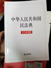 中华人民共和国民法典（大字条旨版）2020年6月