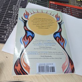英文原版 Firekeeper's Daughter 消防员的女儿
