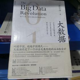 大数据：正在到来的数据革命，以及它如何改变政府、商业与我们的生活