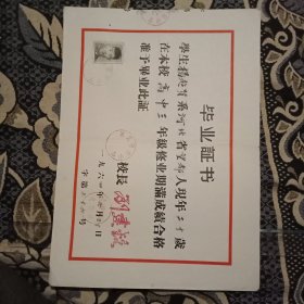 毕业证书【河北望都】