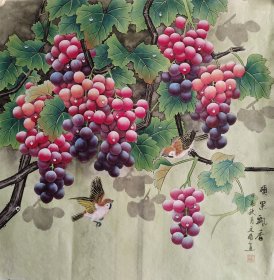 精品工笔葡萄，《硕果累累图》