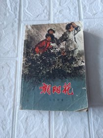 朝阳花