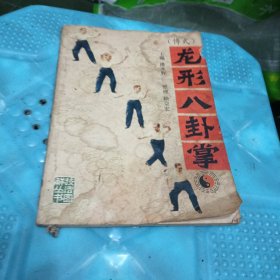 （傅式）龙形八卦掌
