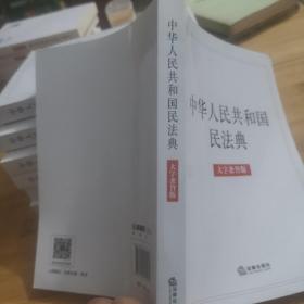 中华人民共和国民法典（大字条旨版）2020年6月