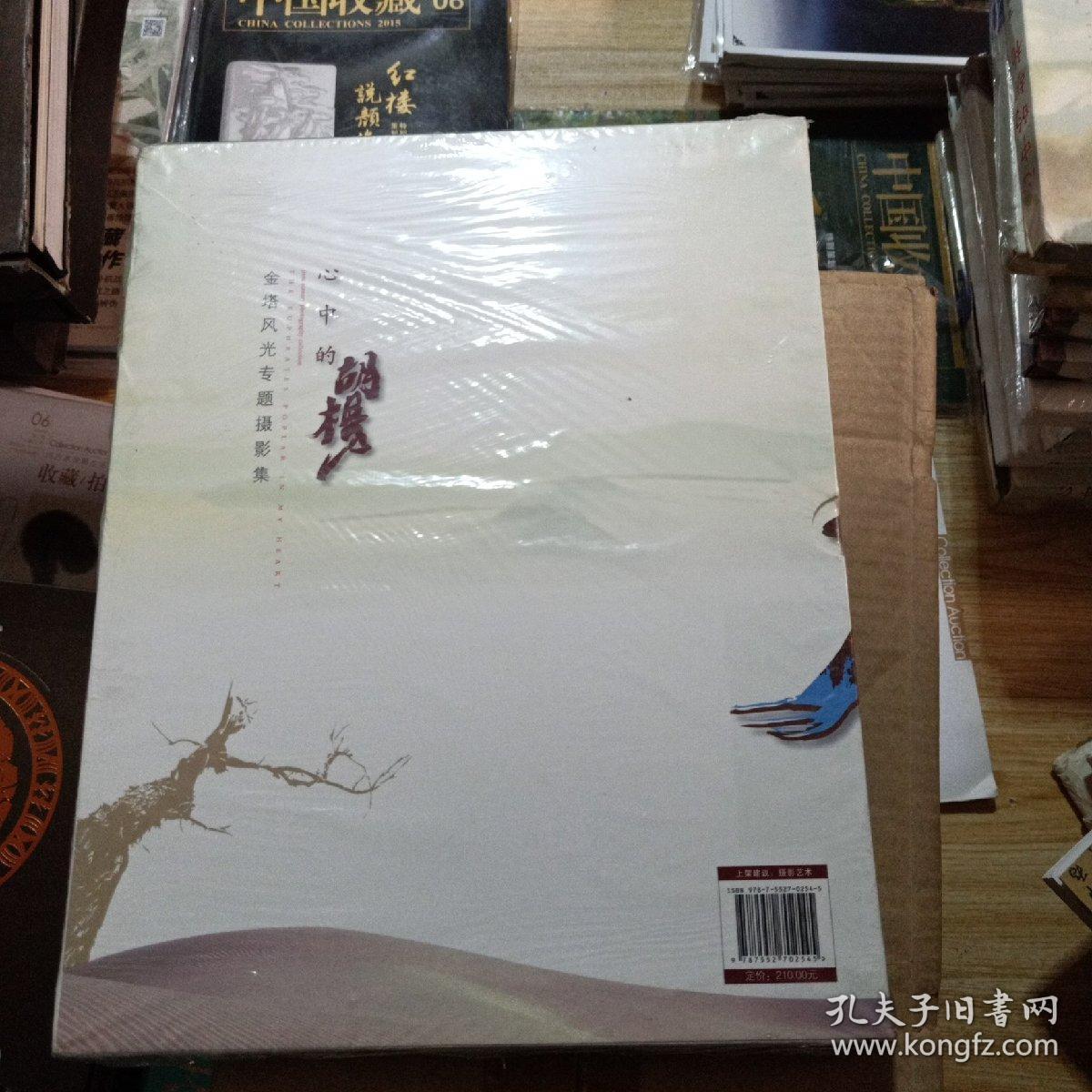 点击查看原图 心中的胡杨:金塔风光专题摄影集