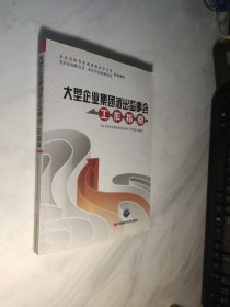 大型企业集团派出监事会工作指南