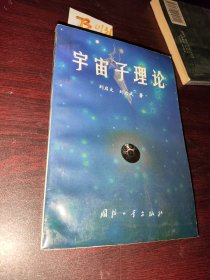 宇宙子理论