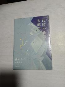 此时不必问去哪里（80后文学领军作家独木舟暌违五年，2020长篇力作）