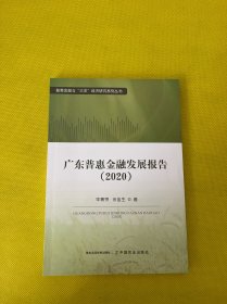 广东普惠金融发展报告(2020)/普惠金融与三农经济研究系列丛书