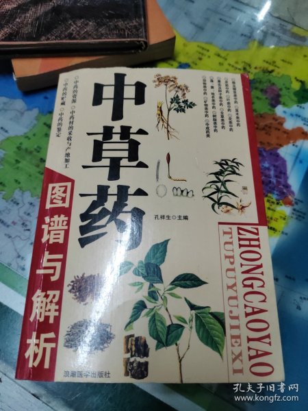 中草药图谱与解析