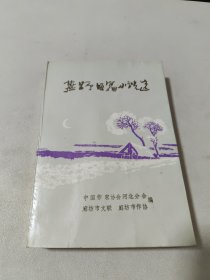 燕野短篇小说选