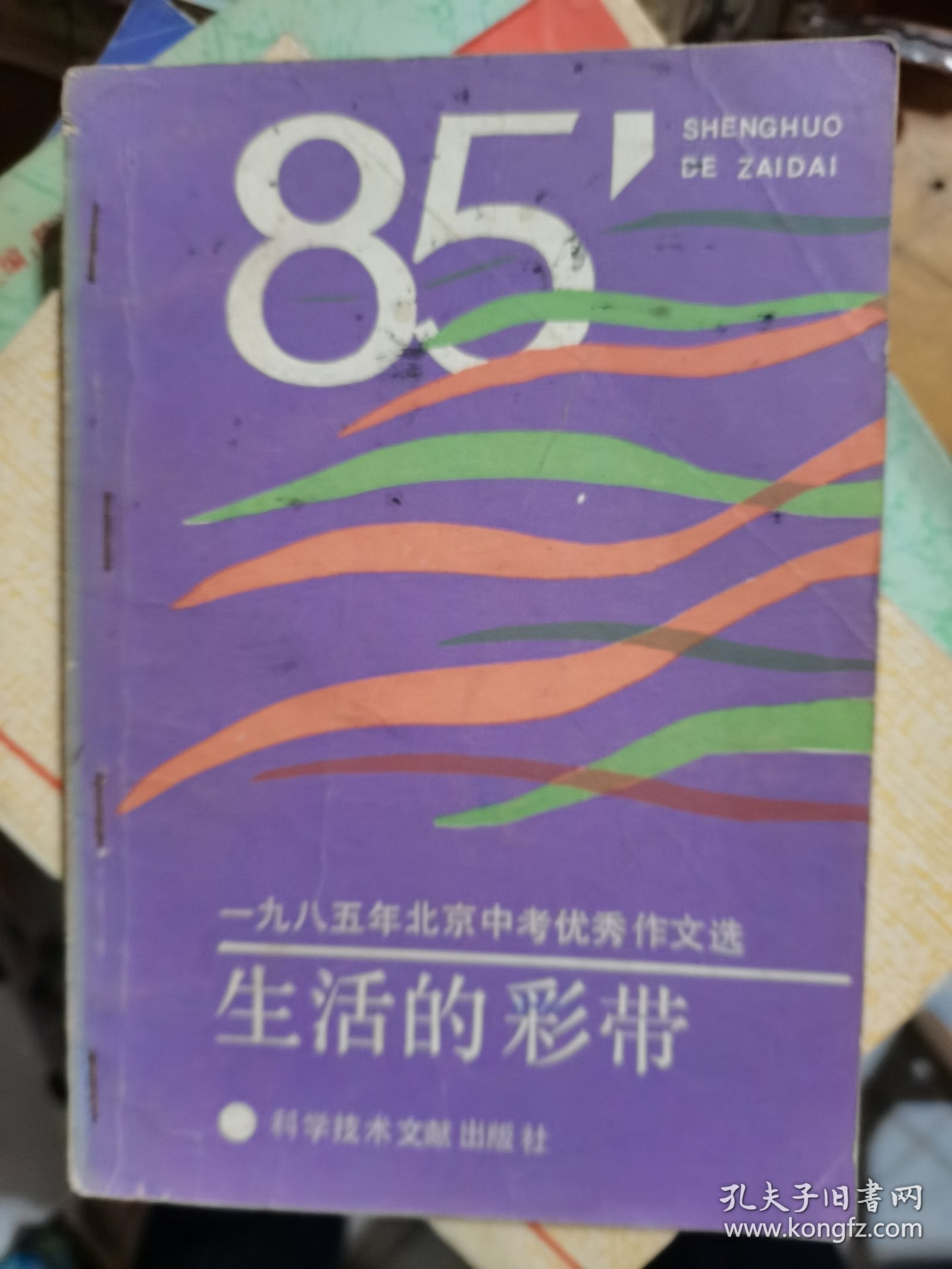 生活的彩带:1985年北京中考优秀作文选--