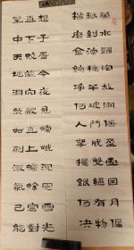 当代职业化家、学者—王枫书法作品一幅 尺寸：136/34 X 4