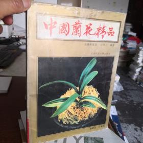 中国兰花精品