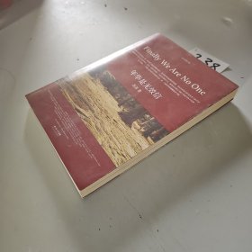 年华是无效信