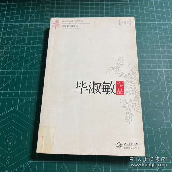 毕淑敏作品精选（现当代名家作品精选珍藏版）