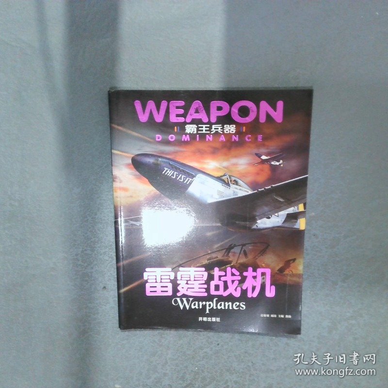 雷霆战机 霸王兵器