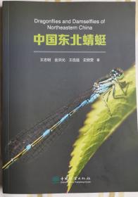 中国东北蜻蜓