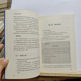 企业财务风险管理/标杆企业财务管理实务丛书