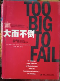 大而不倒：2010年全球政要和首席执行官争相阅读的金融危机启示录