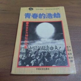 青春的浩劫:来自东方神坛的档案