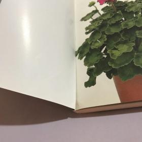 家庭养花：老花匠坐诊支招