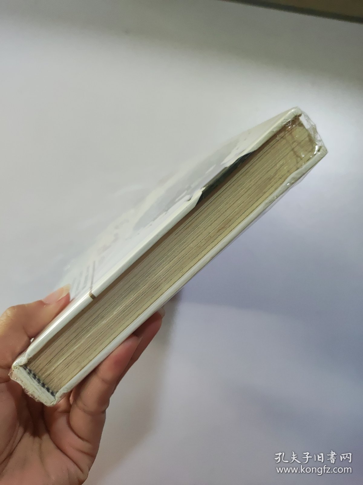 密宗启蒙：李居明密宗系列