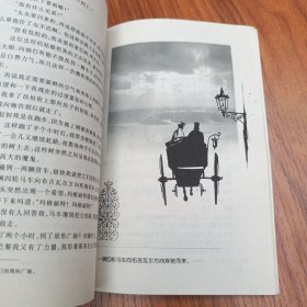 （名著名译插图本：精华版）茶花女