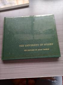 THE  UNIVERSITY  OF  SYDNEY