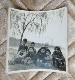 祖孙8人在河边的柳树下合影留念老照片