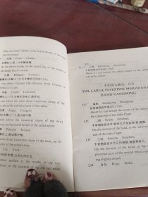 吕教授刮痧疏经人体模型。