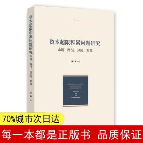 资本超限积累问题研究