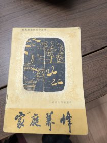 家庭養(yǎng)蜂
