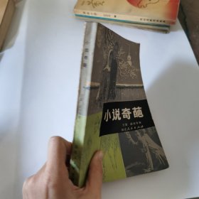 小说奇葩