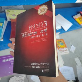 杜拉拉3：我在这战斗的一年里