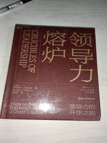 领导力熔炉（领导力的升华之旅）