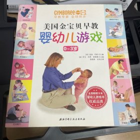 美国金宝贝早教婴幼儿游戏