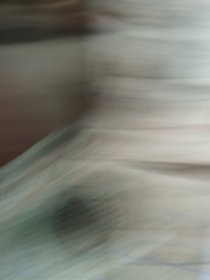 老唢呐。看包浆年份够老的。按图发货！尺寸如图所示杆子没看到裂