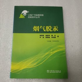 火电厂污染物排放控制技术丛书：烟气脱汞