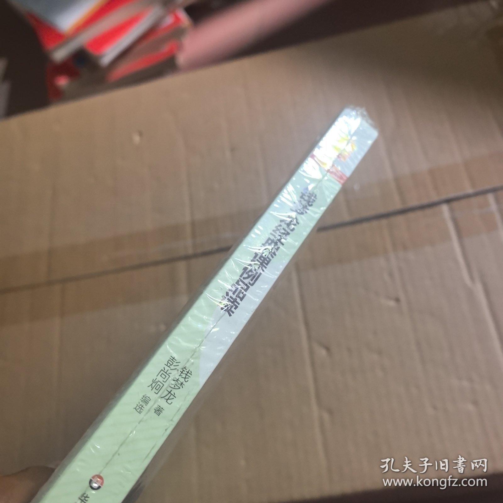 大夏书系·钱梦龙文丛：钱梦龙经典课例品读