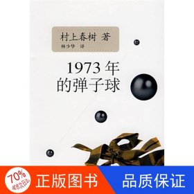 1973年的弹子球